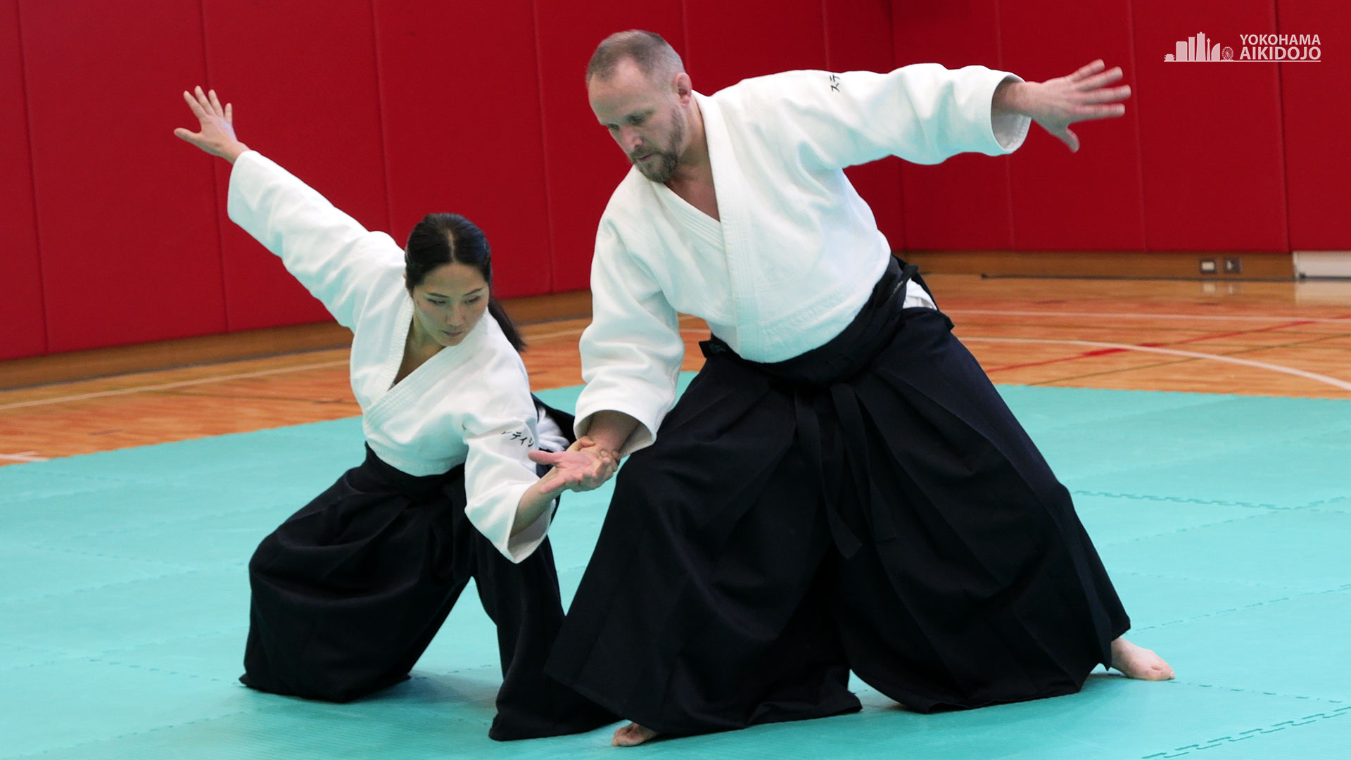 Special Class with Stephane Goffin Sensei (7th dan)